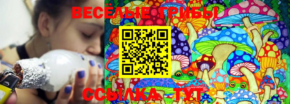 Галлюциногенные грибы GOLDEN TEACHER  Вход с VPN  Серпухов 